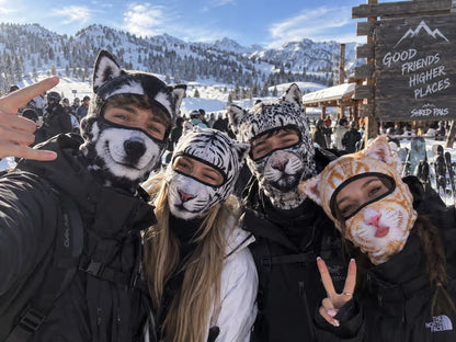 🐱 3D Visual effects Cat Ski Balaclava – Eye-Catching Animal Face Mask for Outdoor Fun!